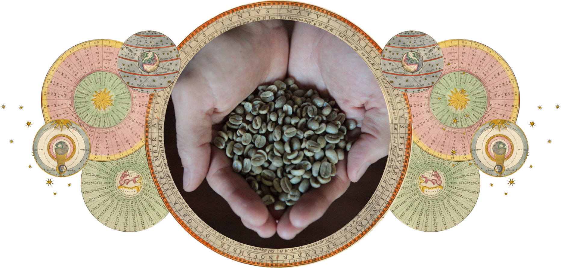 Coffee | Regenerative Farming | ZenBunni