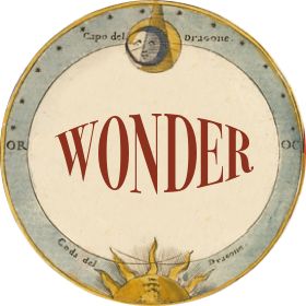 Wonder | Blog | ZenBunni